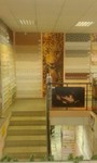 IMG-20170221-WA0031_preview